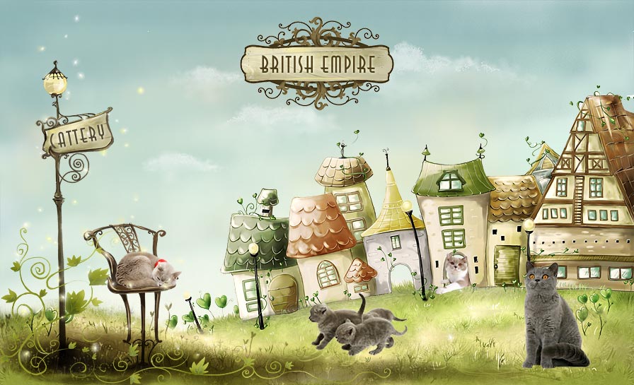 Welcome to British Empire cattery